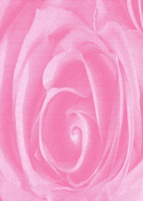 Bright Shade Beautiful Rose Backing Paper