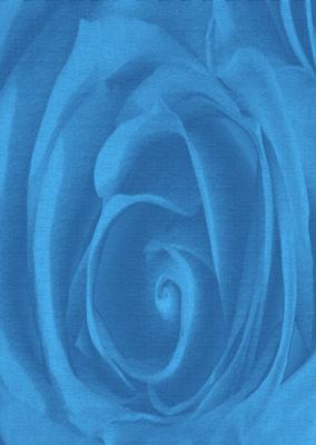Bright Shade Beautiful Rose Backing Paper
