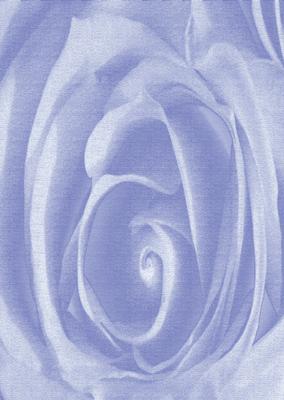 Bright Shade Beautiful Rose Backing Paper
