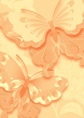 Bright Shade Oriental Butterflies Backing Paper