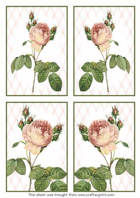 4 Elegant Rose Toppers