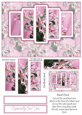 Pink Floral Delight Panel Card Kit