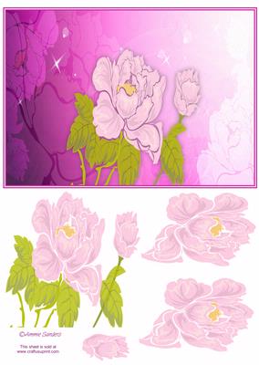 Wild Rose A5 Card Front Kit