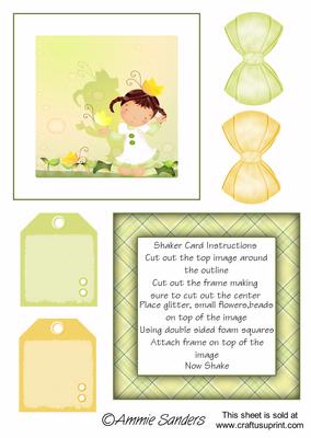 Daisy May Chasing Butterflys Shaker Card Kit