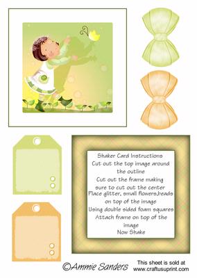 Daisy May Chasing Butterflys Shaker Card Kit