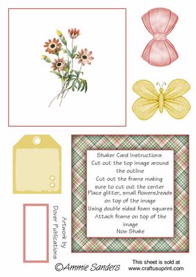 Pretty Floral Shaker Card Kit