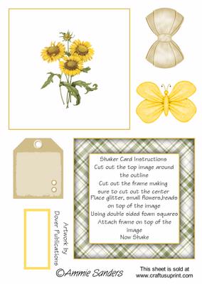 Pretty Floral Shaker Card Kit
