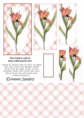 Pretty Deep Pink Floral Dl Card Kit