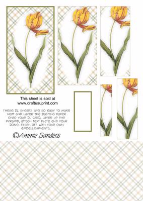 Pretty Yellow and Pink Floral Dl Card Kit