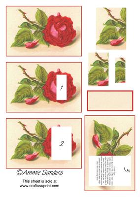 Brand New Pretty Red Rose Combi-tage