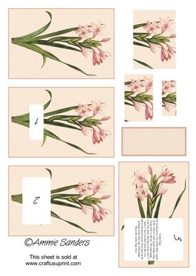 Brand New Pretty Pink Flowers Combi-tage