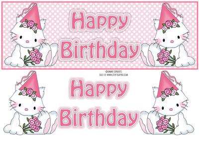 Princess Kitty Happy Birthday Large Dl with Layers