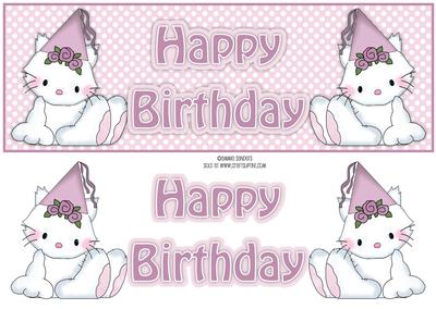 Princess Kitty Happy Birthday Large Dl with Layers