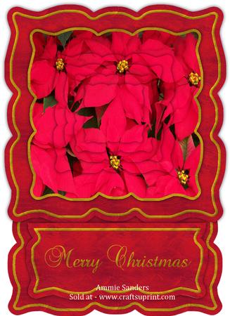Christmas Poinsettia Shaped Easel Card Mini Kit
