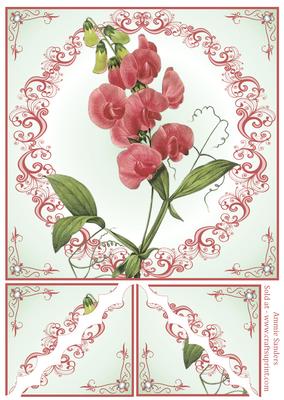 Sweet Pea 8x8 Card Front & Corner Stackers