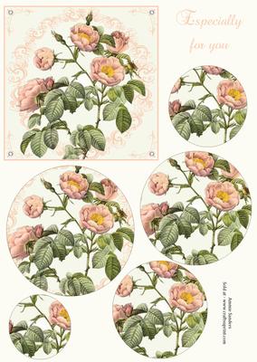 Wild Roses Circle Pyramid