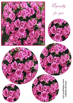 Cerise Roses Circle Pyramid