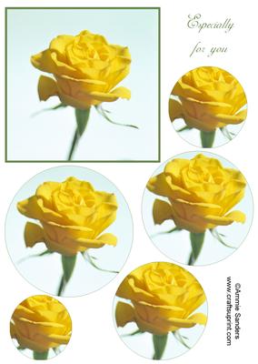 Yellow Rose Circle Pyramid