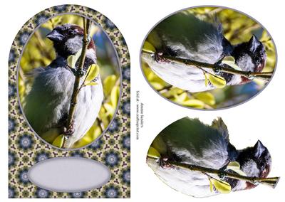 Little Bird Card Front & Decoupage