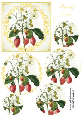 Strawberries 5x5 Inch Topper & Circle Pyramid Layers