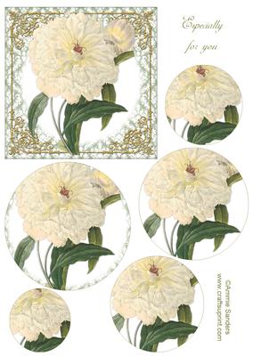 Beautiful Floral Topper & Circle Pyramid Layers
