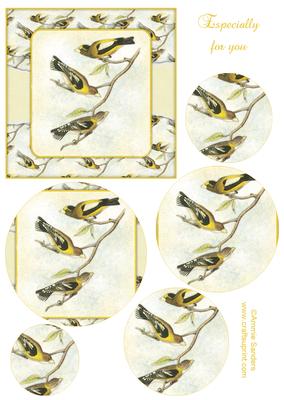 Vintage Painted Birds Topper & Decoupage Layers