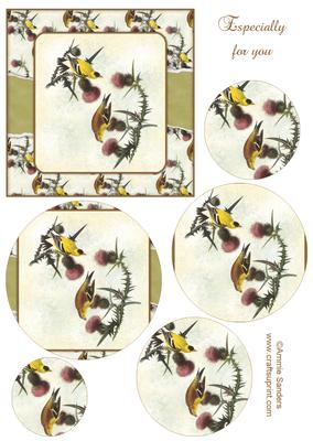Vintage Painted Birds Topper & Decoupage Layers