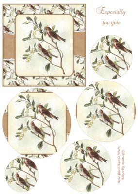 Vintage Painted Birds Topper & Decoupage Layers