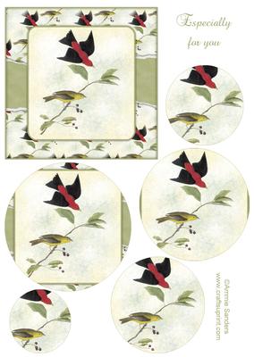 Vintage Painted Birds Topper & Decoupage Layers