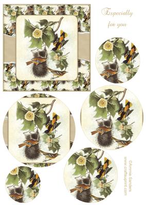 Vintage Painted Birds Topper & Decoupage Layers