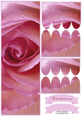 Pink Rose Closeup Large Dl Scallop Stacker Topper