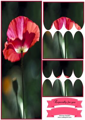 Stunning Poppy Large Dl Scallop Stacker Topper