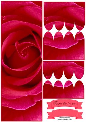 Cerise Rose Closeup Large Dl Scallop Stacker Topper