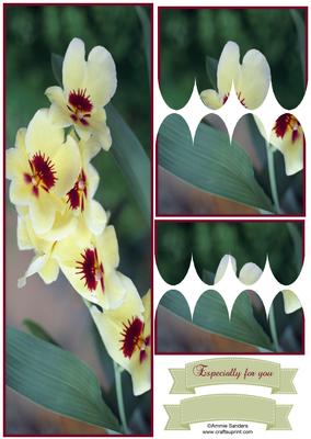 Beautiful Floral Large Dl Scallop Stacker Topper