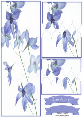 Pretty Blue Flowers Large Dl Scallop Stacker Topper