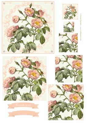 Wild Rose's Pyramid Topper & Sentiments