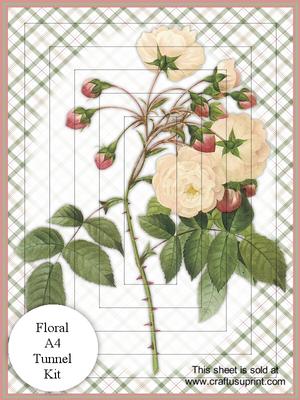 Wild Rose A4 Tunnel Card/pyramid
