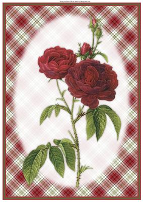 Deep Red Roses A4 Card/topper