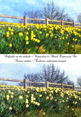 Daffodil on the Roadside Art Impression Watercolour & Sketch
