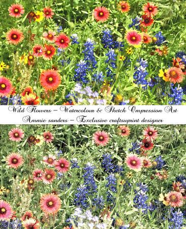 Wild Flowers Art Impression Watercolour & Sketch Digital Art