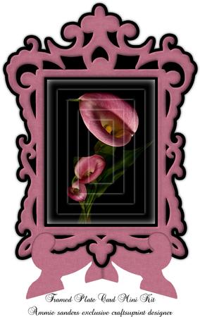 Stunning Calla Lilys Framed Plate Card Mini Kit