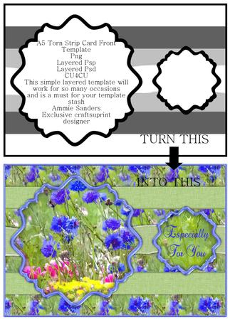 A5 Matt & Torn Card Template, Png, Layered Psp & Layered Psd