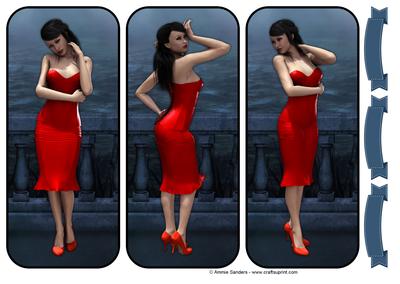 Lady in Latex Topper Selection & Sentiments