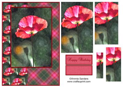 Watercolour Poppy A5 Quick Card