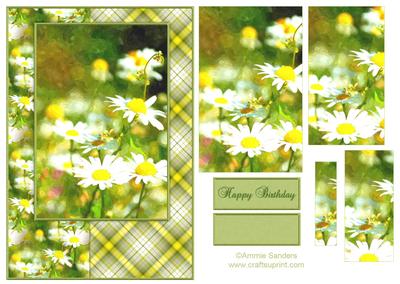 Watercolour Daisies A5 Quick Card