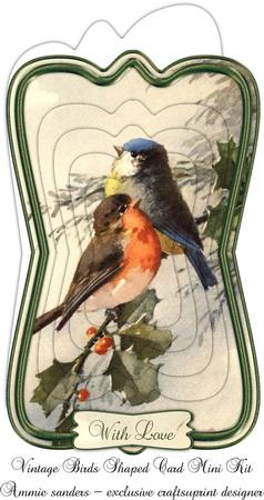 Beautiful Vintage Winter Birds Shaped Card Mini Ki