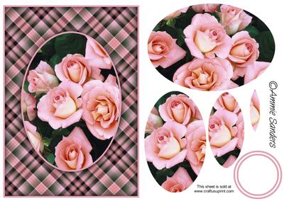 Dusky Pink Roses A5 Card Front