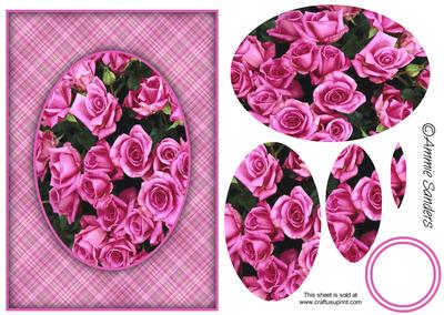 Bright Pink Roses A5 Card Front