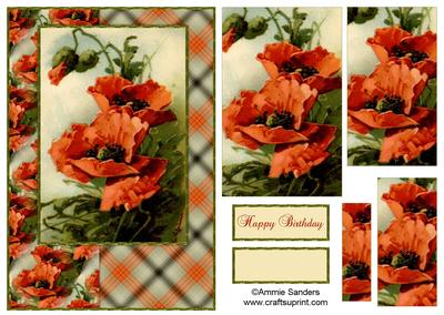 Beautiful Vintage Painted Poppies A5 Quick Card