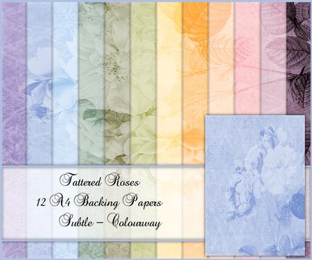 Tattered Rose 12 A4 Backing Papers - Subtle Shades